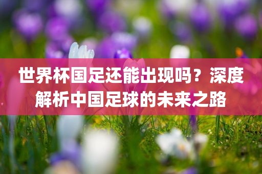 世界杯国足还能出现吗？深度解析中国足球的未来之路