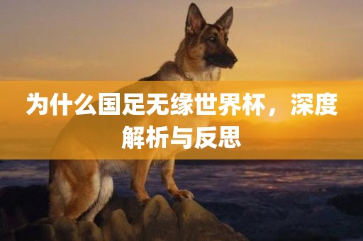 为什么国足无缘世界杯，深度解析与反思广西贺州市华昌新材料有限公司