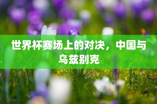世界杯赛场上的对决，中国与乌兹别克