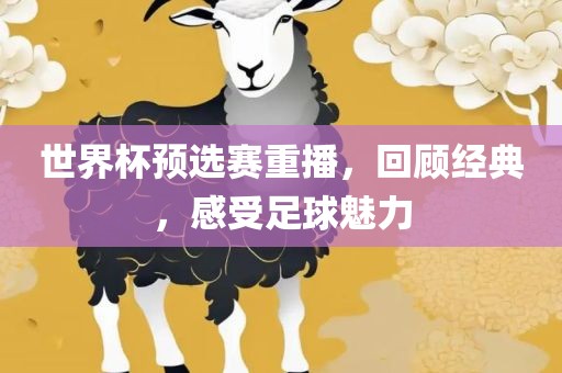 世界杯预选赛重播广西贺州市华昌新材料有限公司，回顾经典，感受足球魅力