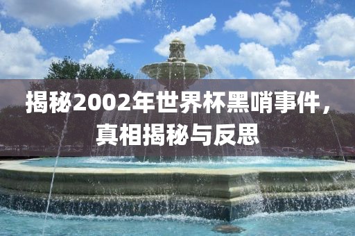 揭秘2002年世界杯黑哨事件，真相揭秘与反思广西贺州市华昌新材料有限公司
