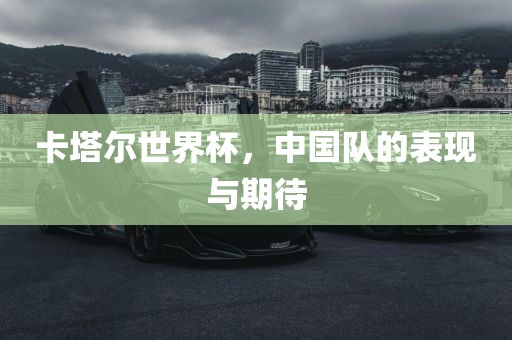 卡塔尔世界杯，中国队的表现与期待