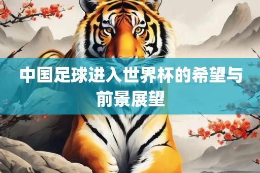 中国足球进入世界杯的希望与前景展望广西贺州市华昌新材料有限公司