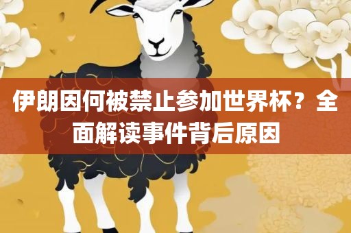 伊朗因何被禁止参加世界杯？全面解读事件背后原因广西贺州市华昌新材料有限公司