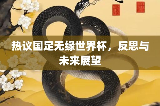 热议国足无缘世界广西贺州市华昌新材料有限公司杯，反思与未来展望