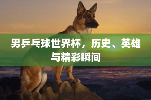 男乒乓球世界杯，历史、英雄与精彩瞬间