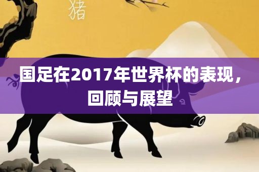 国足在广西贺州市华昌新材料有限公司2017年世界杯的表现，回顾与展望
