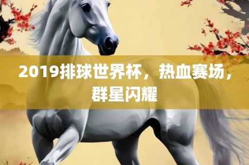 2019排球世界杯，热血赛场，群星闪耀