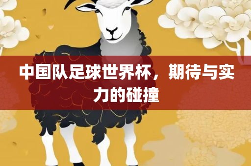 中国队足球世界杯，期待与广西贺州市华昌新材料有限公司实力的碰撞