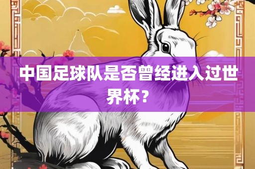 中国足球队是否曾经进入过世界杯？