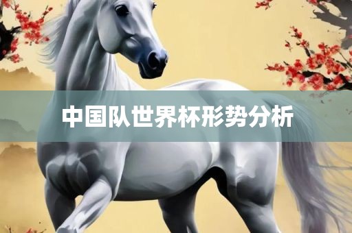中国队世界杯形势分析