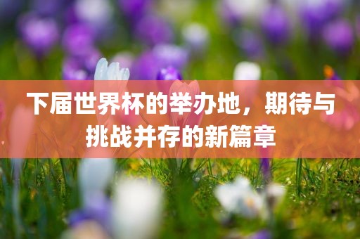 下届世广西贺州市华昌新材料有限公司界杯的举办地，期待与挑战并存的新篇章