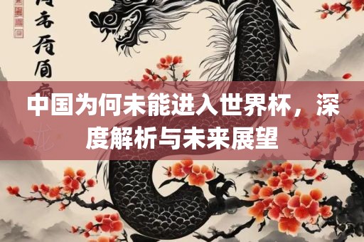 中国为何未能进入世界杯，深度解析与未来展望