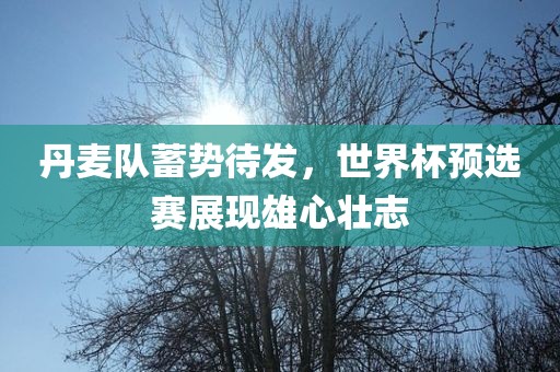 丹麦队蓄势待发，世界杯预选赛展现雄心壮志广西贺州市华昌新材料有限公司