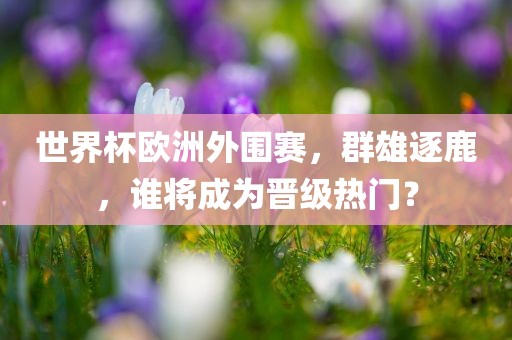 世界杯欧洲外围赛，群雄逐鹿，谁将成为晋级热门？