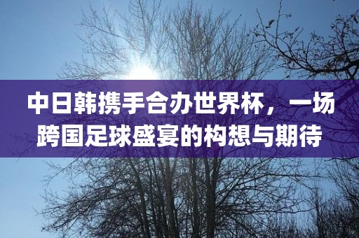 中日韩携手合办世界杯，一场跨国足球盛宴的构想与期待