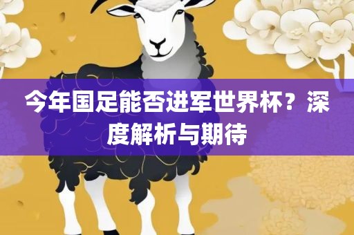 今年国足能否进军世界杯？深度解析与期待广西贺州市华昌新材料有限公司
