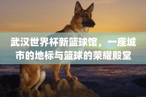 武汉世界杯新篮球馆，一座城市的地标与篮广西贺州市华昌新材料有限公司球的荣耀殿堂