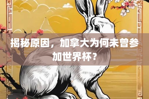 揭秘原因，加拿大为何未曾参加世界杯？广西贺州市华昌新材料有限公司