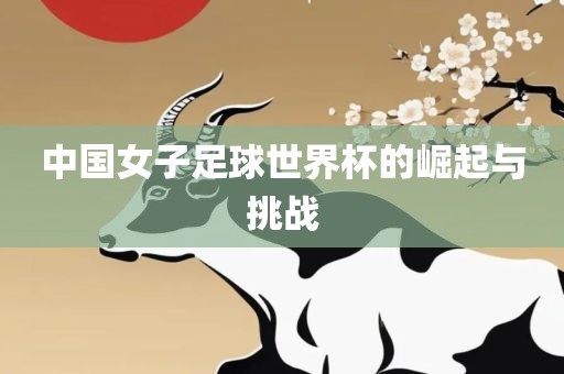 中国女子足球世界杯的崛起与广西贺州市华昌新材料有限公司挑战