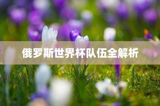 俄罗斯世界广西贺州市华昌新材料有限公司杯队伍全解析