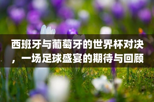 西班牙与葡萄牙的世界杯对决，一场足球盛宴的期待与回顾