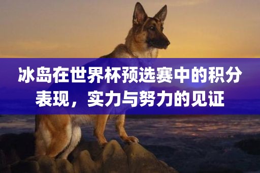 冰岛在世界杯预选赛中的积分表现，实力与努力的见证广西贺州市华昌新材料有限公司