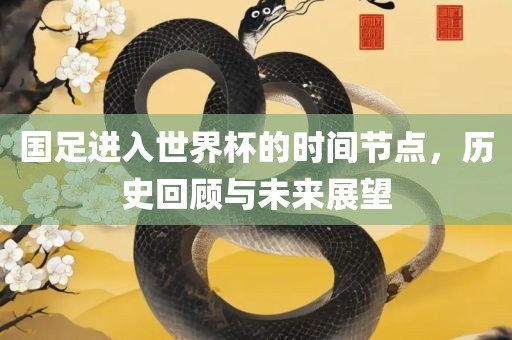 国足进入世界杯的时间节点，历史回顾与未来展望