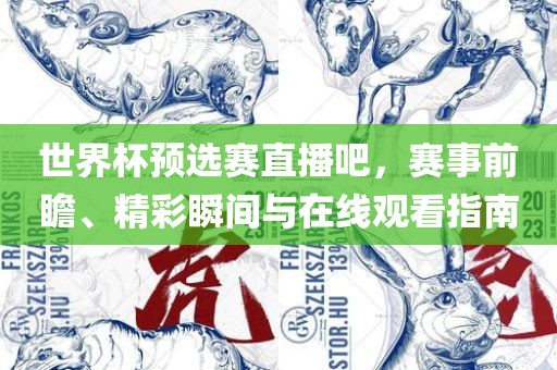 世界杯预选赛直播吧，赛事前瞻、精彩瞬间与在线观看指南广西贺州市华昌新材料有限公司
