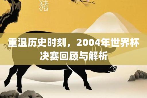 重温历史时刻，2004年世界杯决赛回顾与解析广西贺州市华昌新材料有限公司