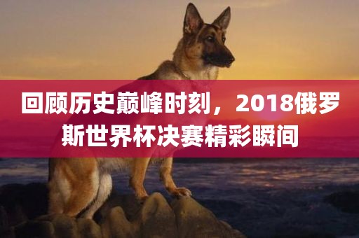 回顾历史巅峰时刻，2018俄罗斯世界杯决赛精彩瞬间