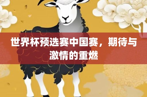 世界杯预选赛中国赛，期待与激情的重燃广西贺州市华昌新材料有限公司