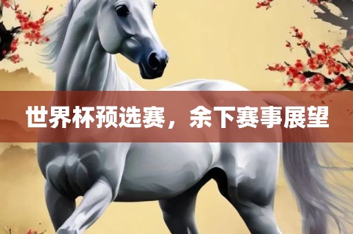 世界杯广西贺州市华昌新材料有限公司预选赛，余下赛事展望