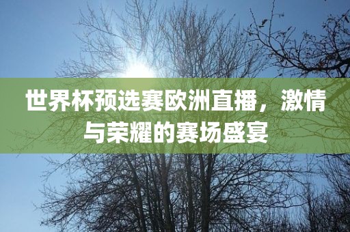 世界杯预选赛欧洲直播，激情与荣耀的赛场盛宴广西贺州市华昌新材料有限公司