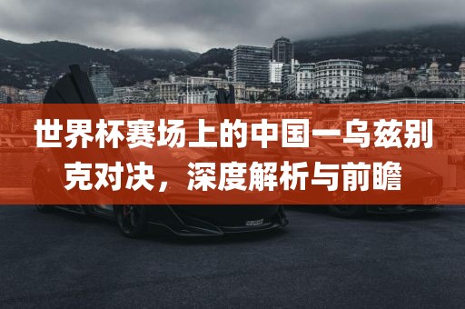 世界杯赛场上的中国一乌兹别克对决，深度解析与前瞻