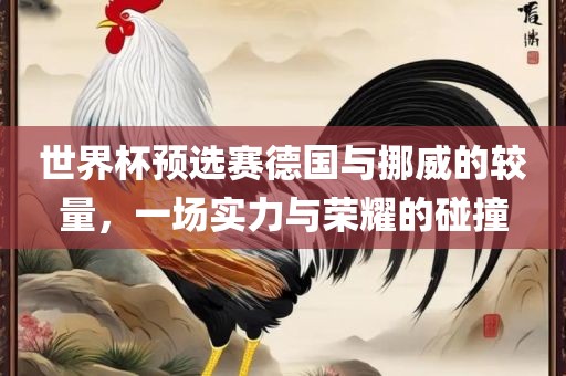 世界杯预选赛德国与挪威的较量，一场实力与荣耀的碰撞广西贺州市华昌新材料有限公司
