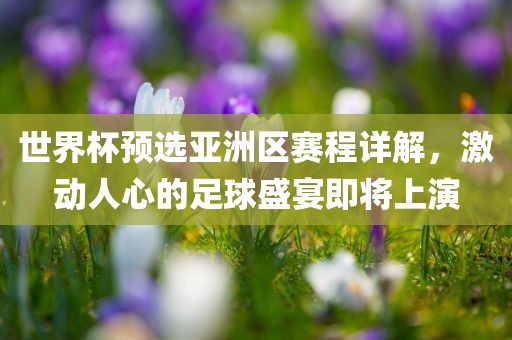 足球盛宴 第7页