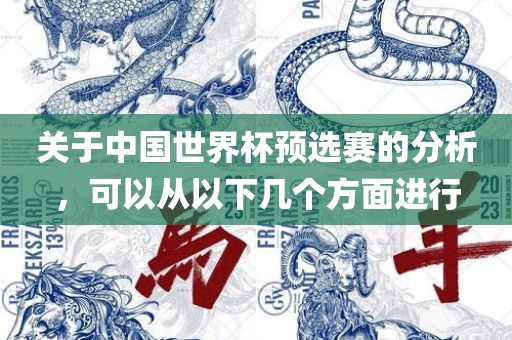关于中国世界杯预选赛的分析，可以从以下几个方面进行