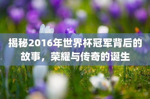 揭秘2016年世界杯冠军背后的故事，荣耀与传奇的诞生广西贺州市华昌新材料有限公司