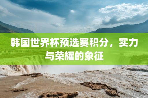 韩国世界杯预选赛积分，实力与荣耀的象征广西贺州市华昌新材料有限公司