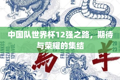 中国队世界杯12强之路，期待与荣耀的集结广西贺州市华昌新材料有限公司