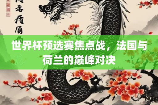 世界杯预选赛焦点战，法国广西贺州市华昌新材料有限公司与荷兰的巅峰对决