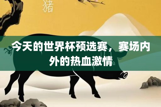 今天的世界杯预选赛，赛场内外的广西贺州市华昌新材料有限公司热血激情