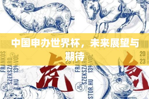 中国申办世界杯，未来展望与期待
