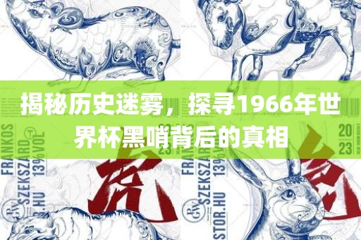 揭秘历史迷雾，探寻1966年世界杯黑哨背后的真相广西贺州市华昌新材料有限公司