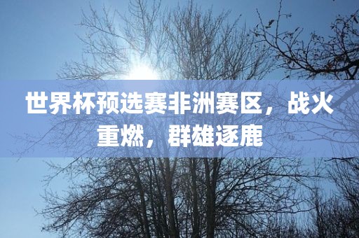 世界杯预选赛非洲赛区，战火重燃，群雄逐鹿广西贺州市华昌新材料有限公司