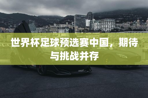 世界杯足球预选赛中国，期待与挑战并存广西贺州市华昌新材料有限公司