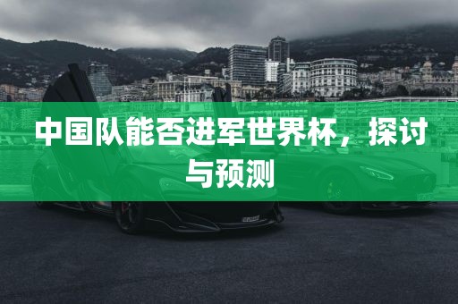广西贺州市华昌新材料有限公司中国队能否进军世界杯，探讨与预测