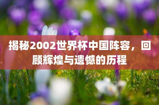 揭秘2002世界杯中国阵容，回顾辉煌与遗憾的历程广西贺州市华昌新材料有限公司