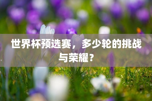 世界杯预选赛 第5页